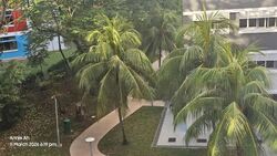 Blk 768 Pasir Ris Street 71 (Pasir Ris), HDB 4 Rooms #587983181